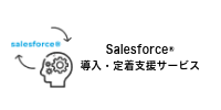 Salesforce®導入・定着支援サービス